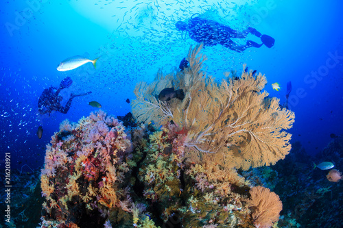 SCUBA divers swimming over a beautiful, colorful tropical coral reef at dawn