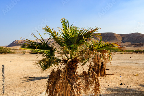 Bild auf Leinwand Israel desert landscape.