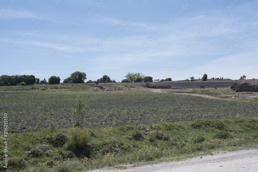 Aculco ,Estado de México