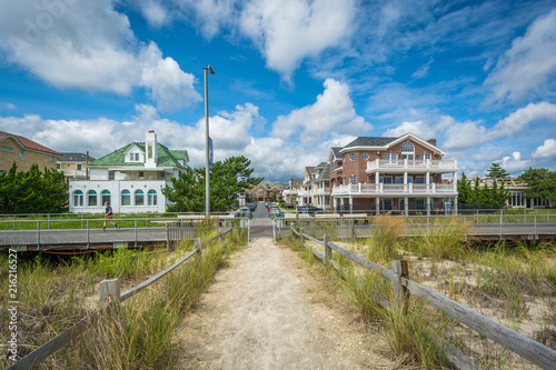 Path through sand dunes in Ventnor City, New Jersey photo