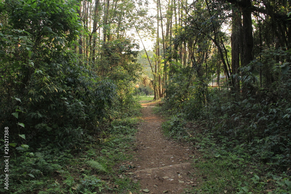 Obraz premium Fotografia