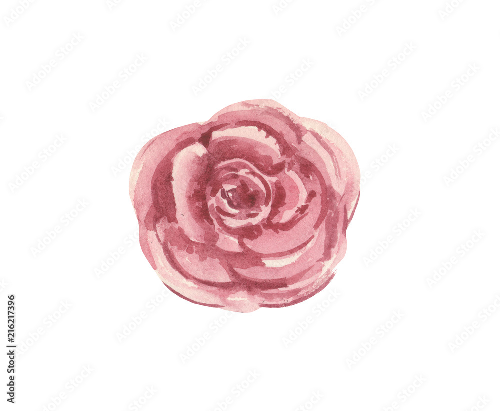 Watercolor stylized rose flower Watercolor stylized rose flower