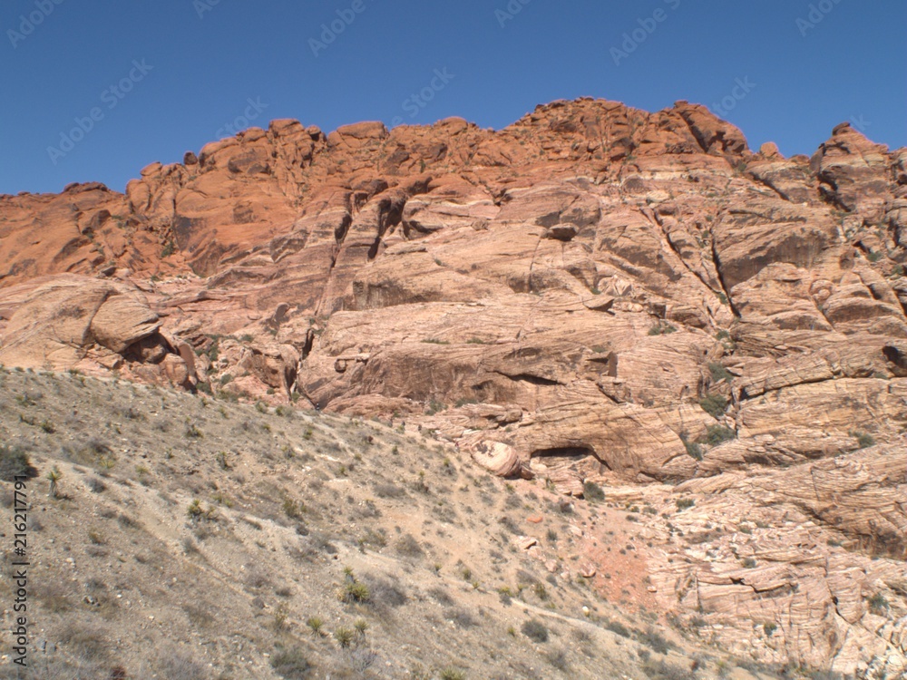 Nevada Desert