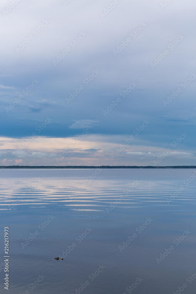 Gator in Lake