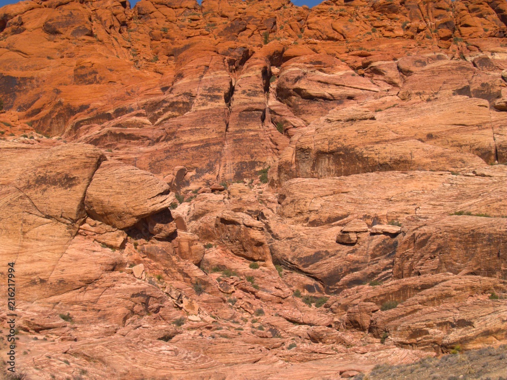 Obraz premium Nevada Desert