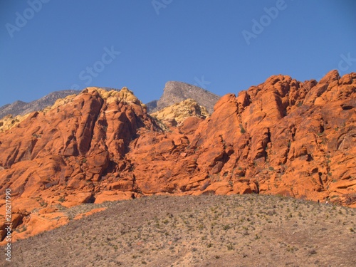 Nevada Desert