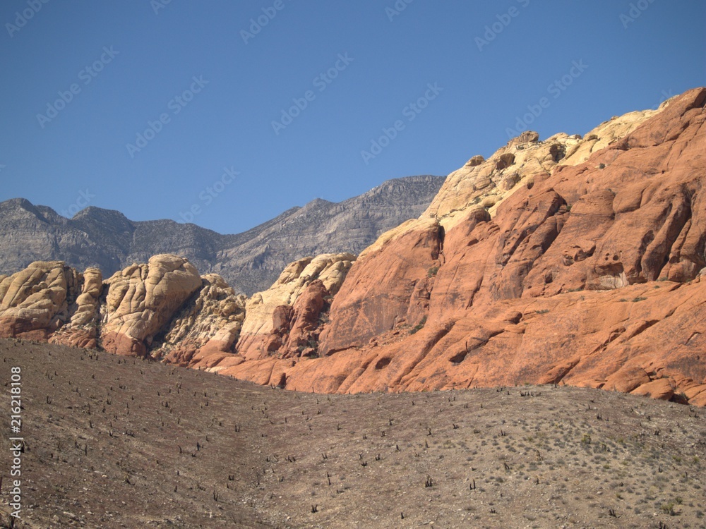 Nevada Desert