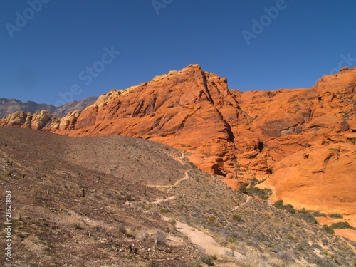 Nevada Desert