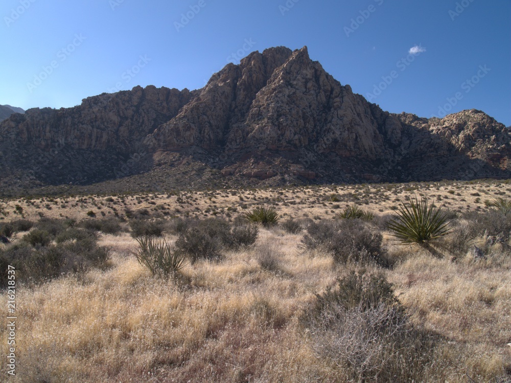 Neveda Desert