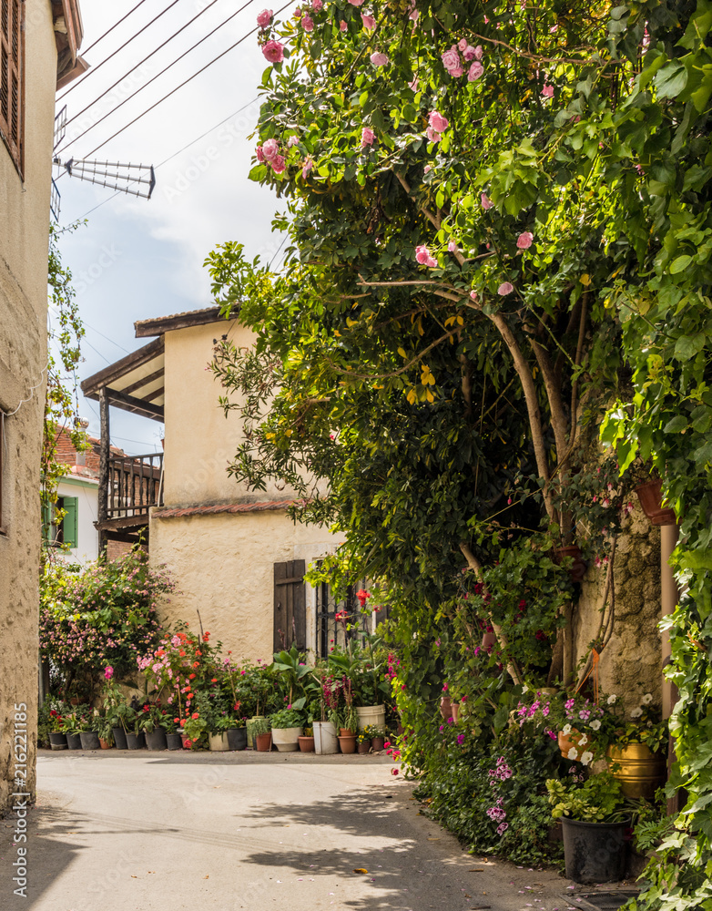 Naklejka premium A view in the traditional village of Lania in cyprus.