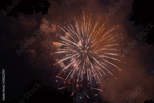 Bright fireworks against the black sky