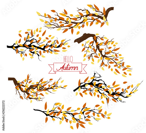 Hello autumn. Autumn landscape with autumn leaves on the branches of trees