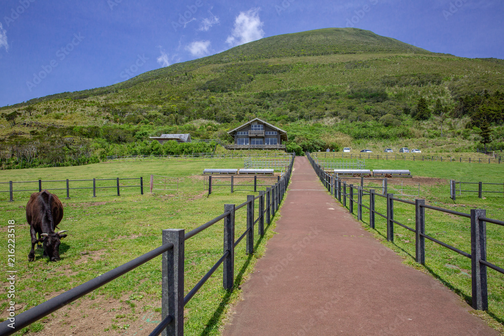 八丈島 八丈島