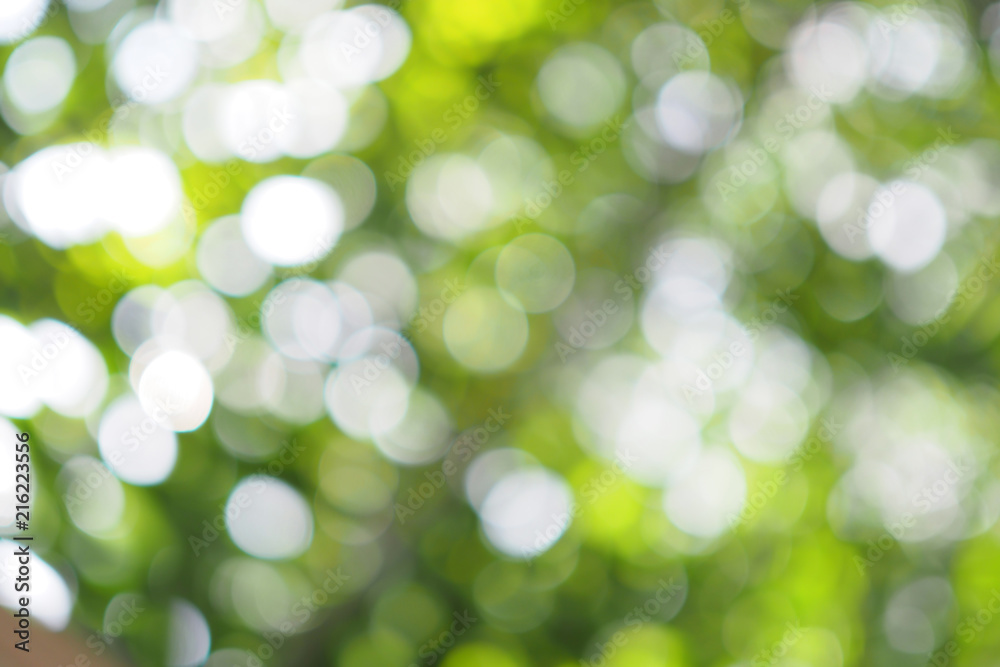 Green bokeh of tree leaves nature out of focus background Green bokeh of tree leaves nature out of focus background