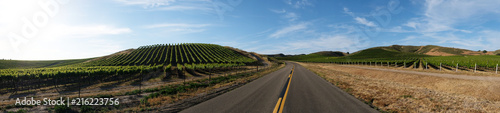 Wine Country Road