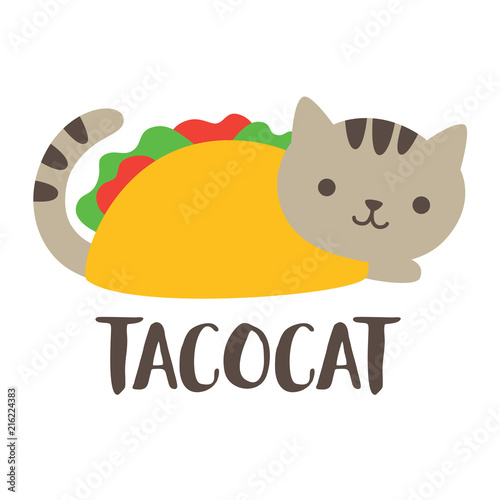 Cute and funny taco cat vector illustration.