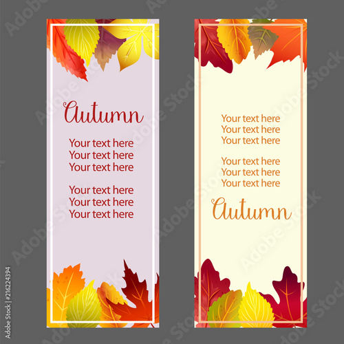 autumn fall forest leaves