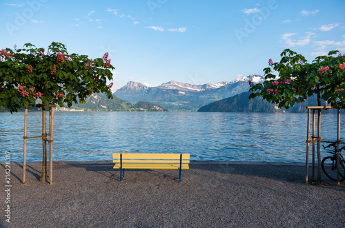 Yellow bench between two trees with flowers on them looking over lake lucerne from weggis towards brisen and schwalmis