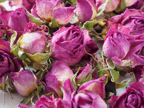 Background of the Roses