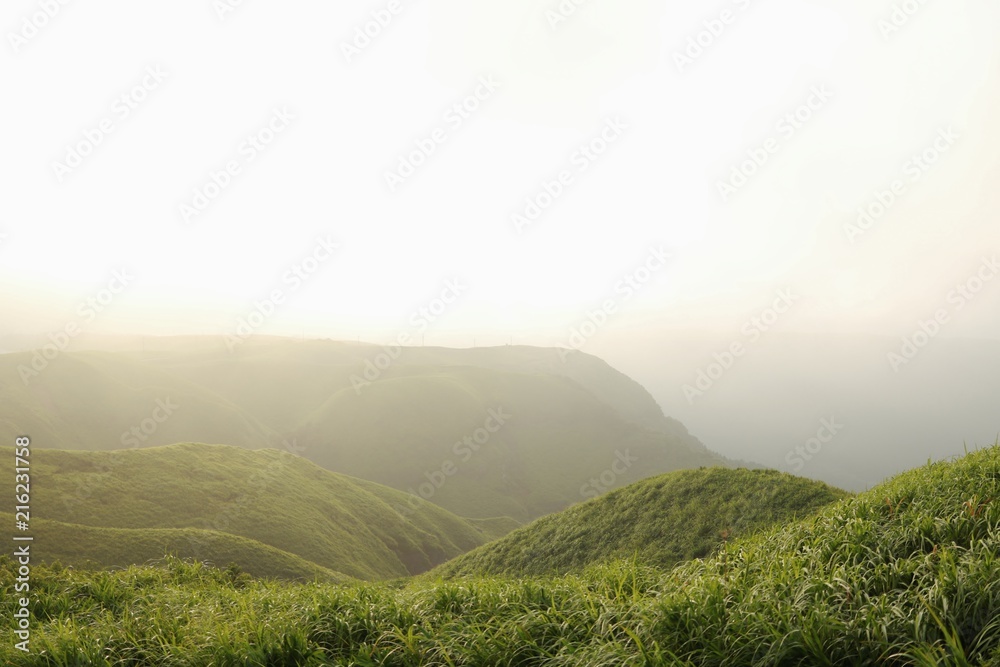Obraz premium 朝霧に包まれる早朝の阿蘇