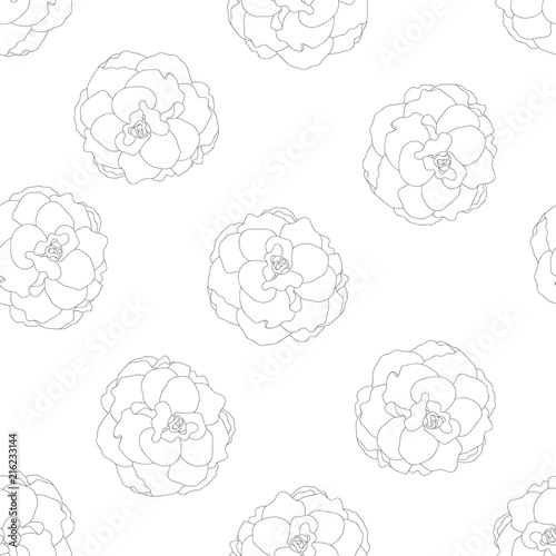 Begonia Flower, Picotee Outline on Seamless Background