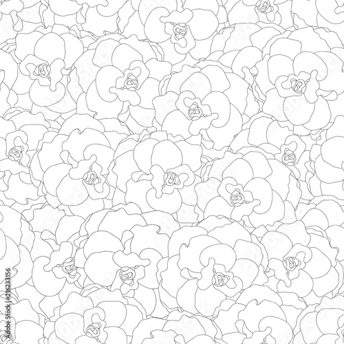 Begonia Flower, Picotee Outline Seamless Background.