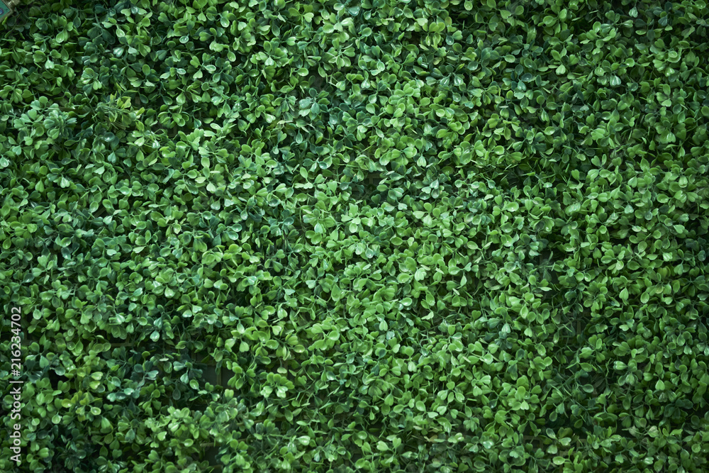 Plastic leaf wall, Interior design. Plastic leaf wall, Interior design.