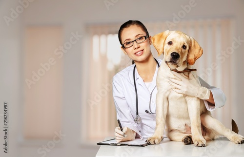 Beautiful young veterinarian with a dog