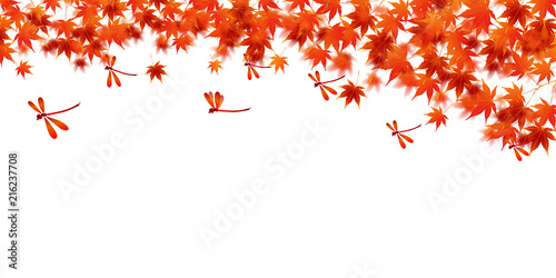 紅葉　秋　葉　背景