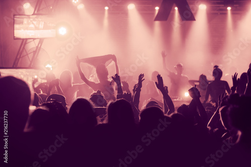 Crowd at concert - summer music festival