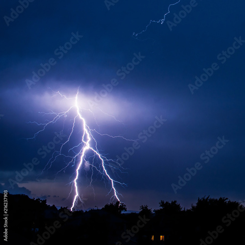 Branched lightning