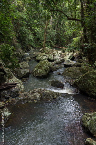 Creek running through bush