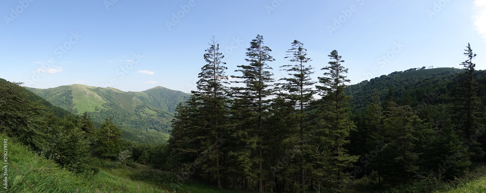 The road to Santiago between Valcarlos and Roncesvalles The road to Santiago between Valcarlos and Roncesvalles