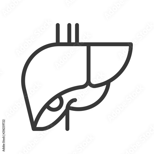 liver, human organ related outline icon