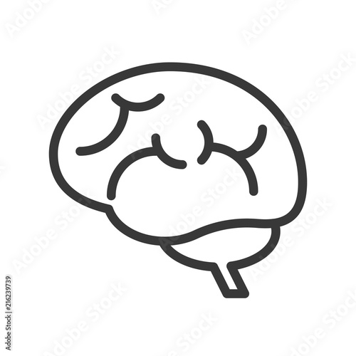 brain  human organ related outline icon