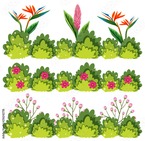 A set of flower bush