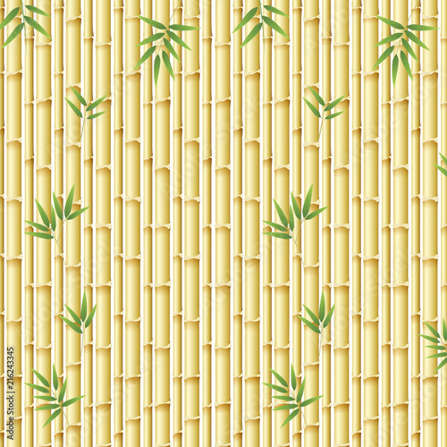 Beautiful nature bamboo template