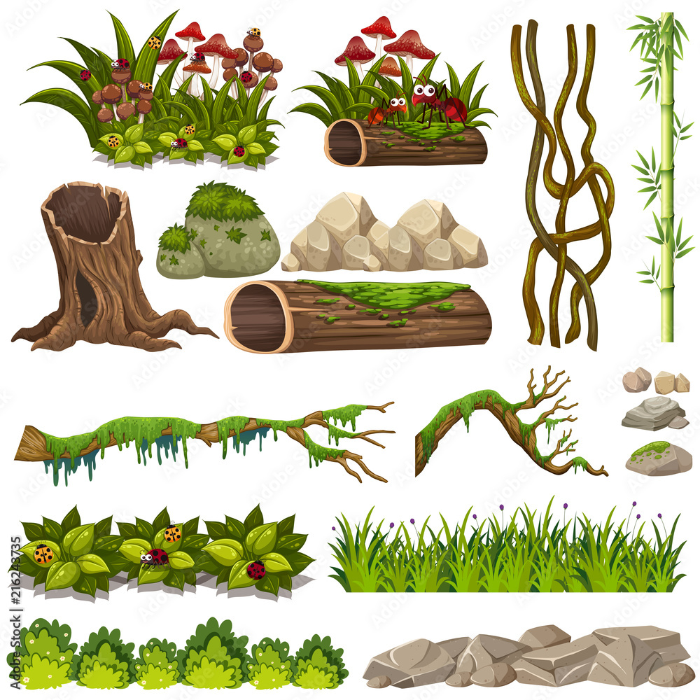 A set of nature elements