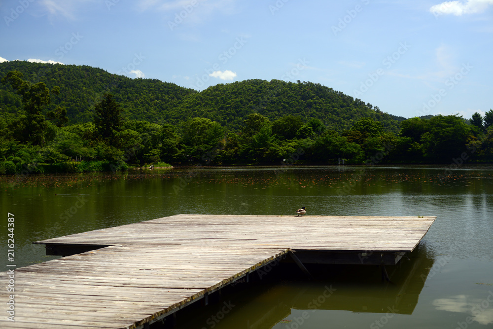 Fototapeta premium Osawa-no-ike Pond-11
