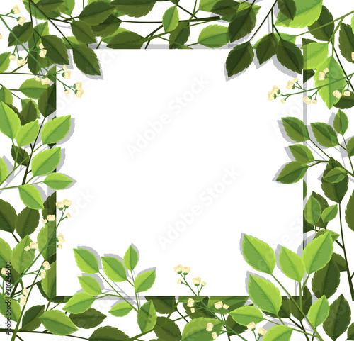 Beautiful green leaf border