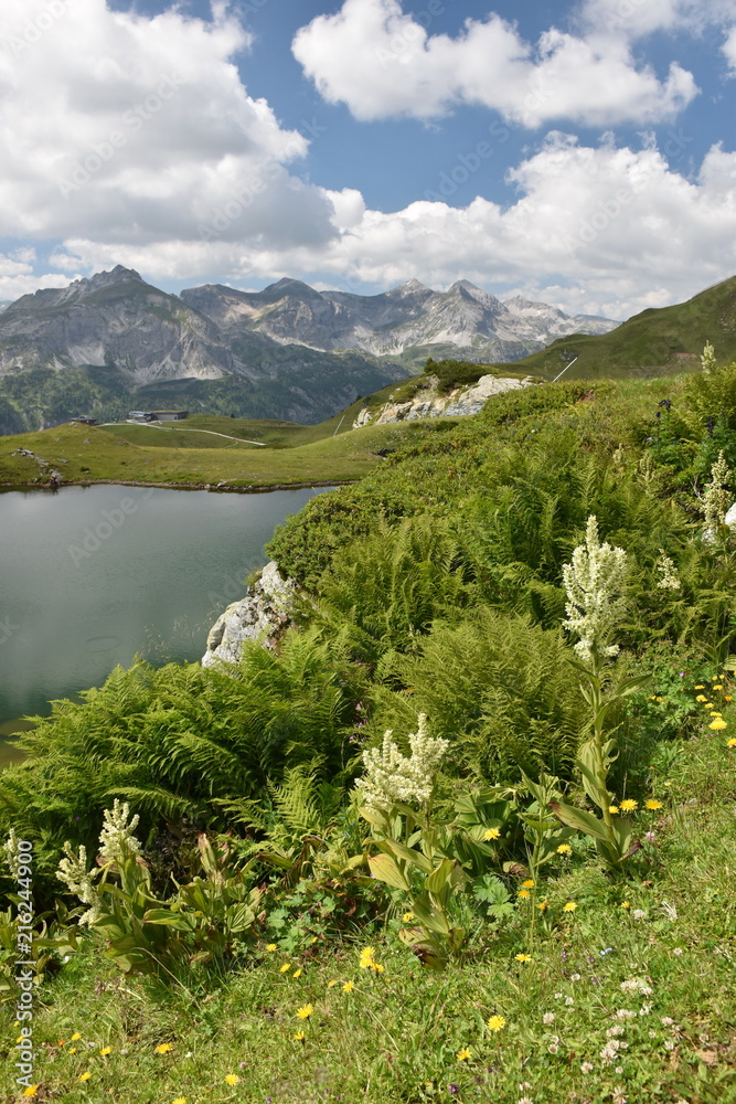 Fototapeta premium The Grunwaldsee in Obertauern near Hochalm and Seekarspitze. Austria