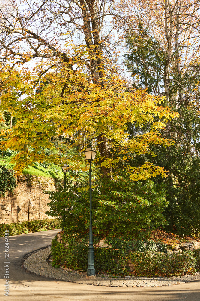 Naklejka premium Granada, Andalusia, Spain, Europe