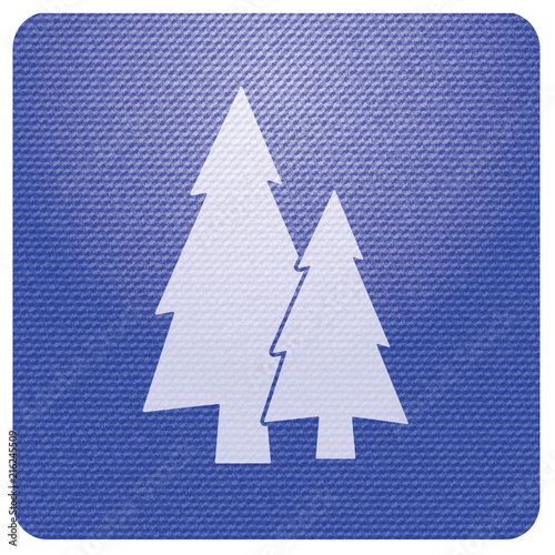 Fir Trees forest