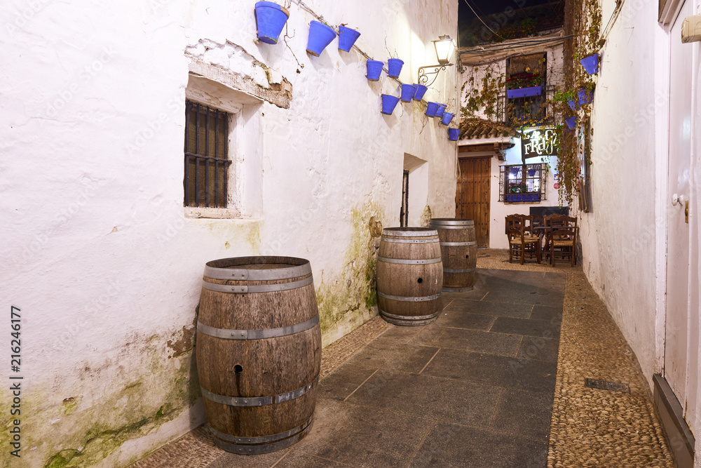 Naklejka premium Córdoba, Andalusia, Spain, Europe