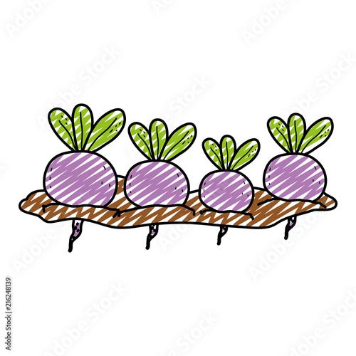 doodle nature onions cultivated plantation product
