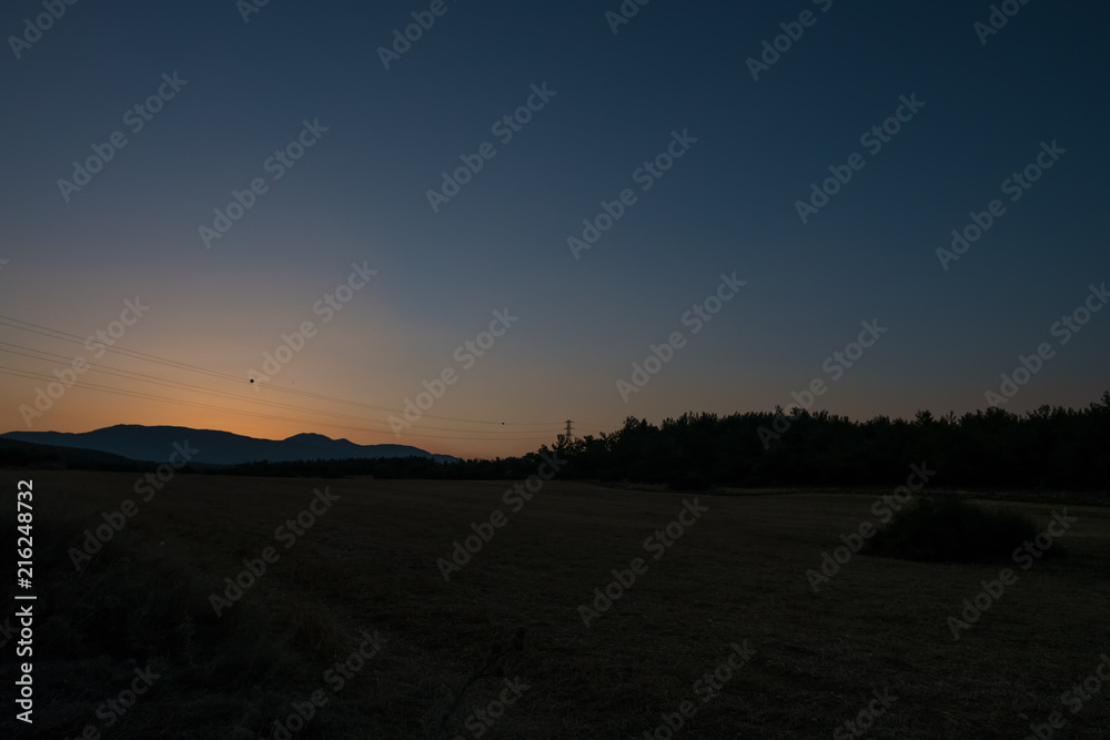 Obraz premium Field Surrounded by Forest Before Sunrise