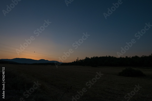 Field Surrounded by Forest Before Sunrise