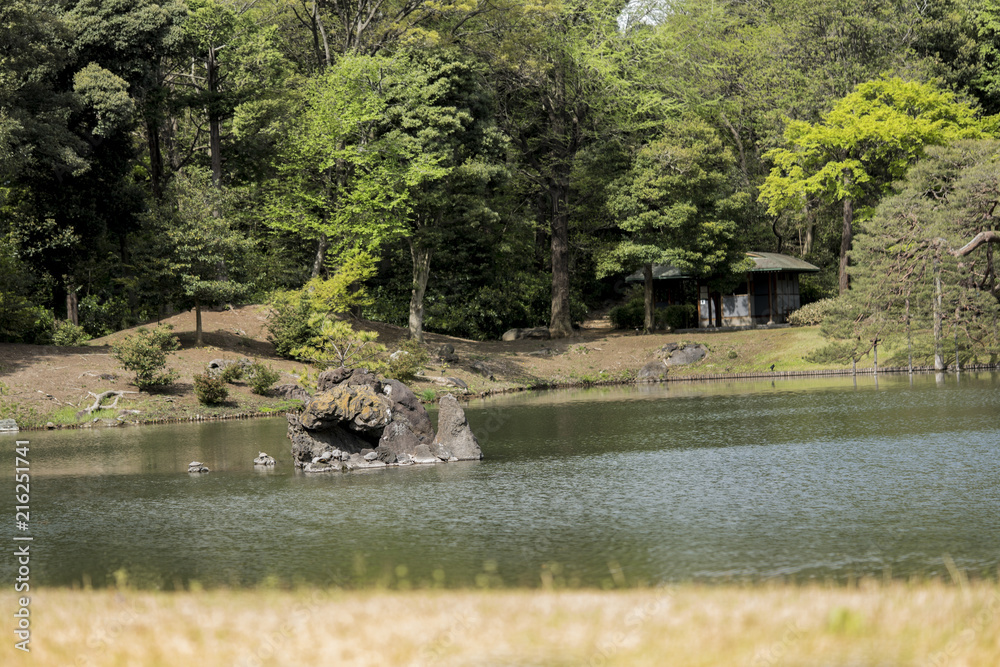Naklejka premium Turtles on the stone islet Houraijima on the pond of Rikugien Park in Bunkyo district, north of Tokyo.