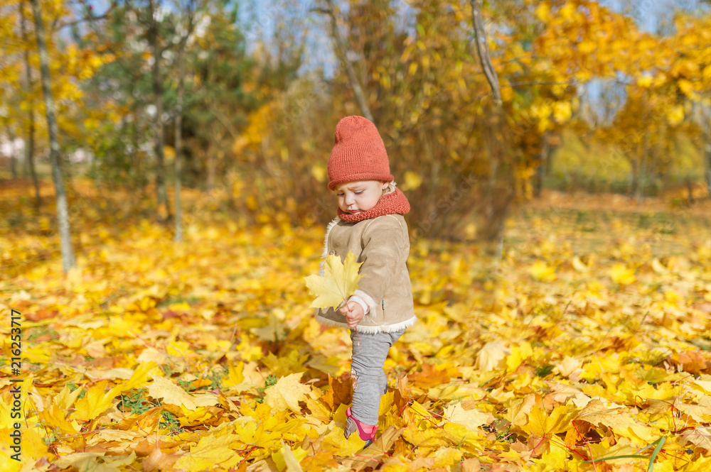 Cute little girl in warm cap with maple leaf play in autumn park.