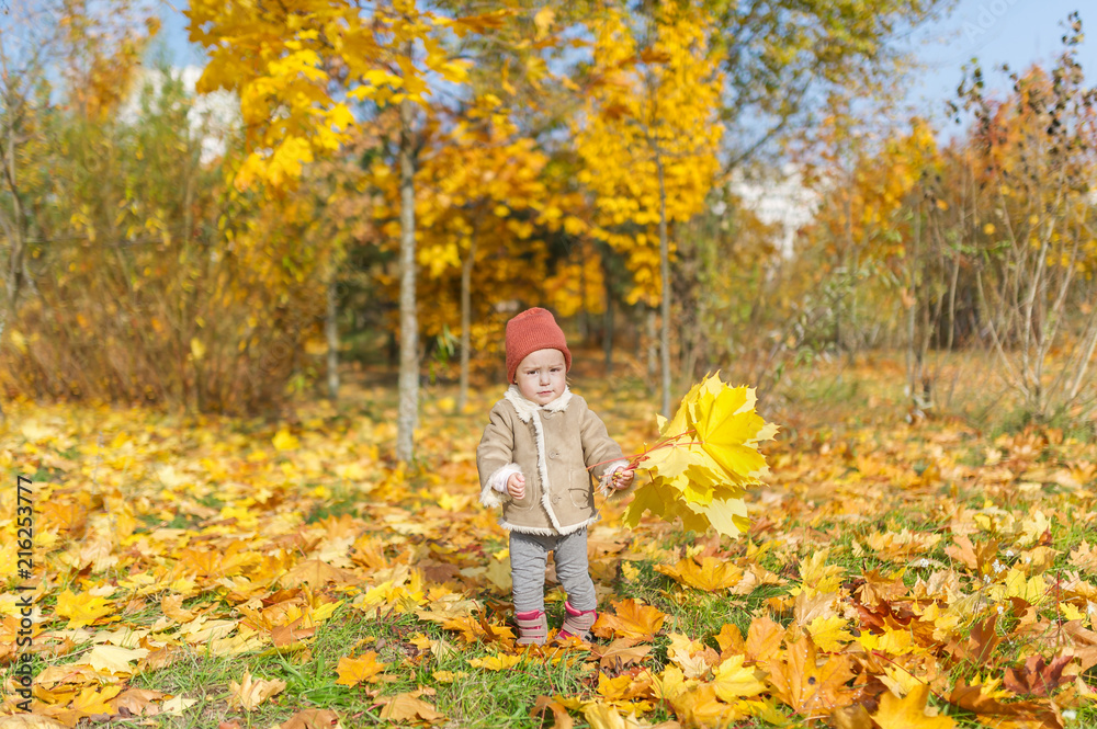 Cute little girl in warm cap with maple leaf play in autumn park. Cute little girl in warm cap with maple leaf play in autumn park.
